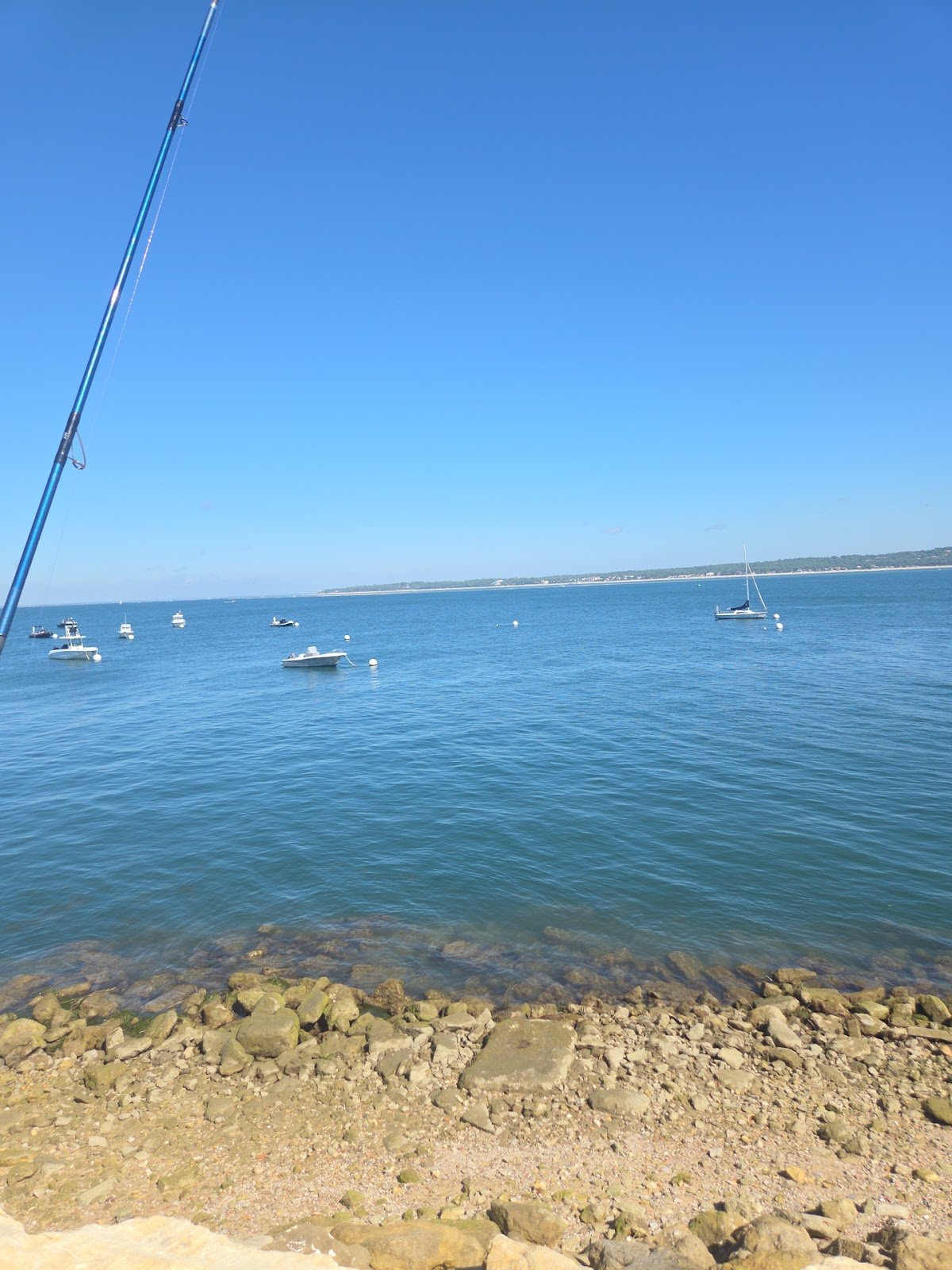 VTC Cap Ferret