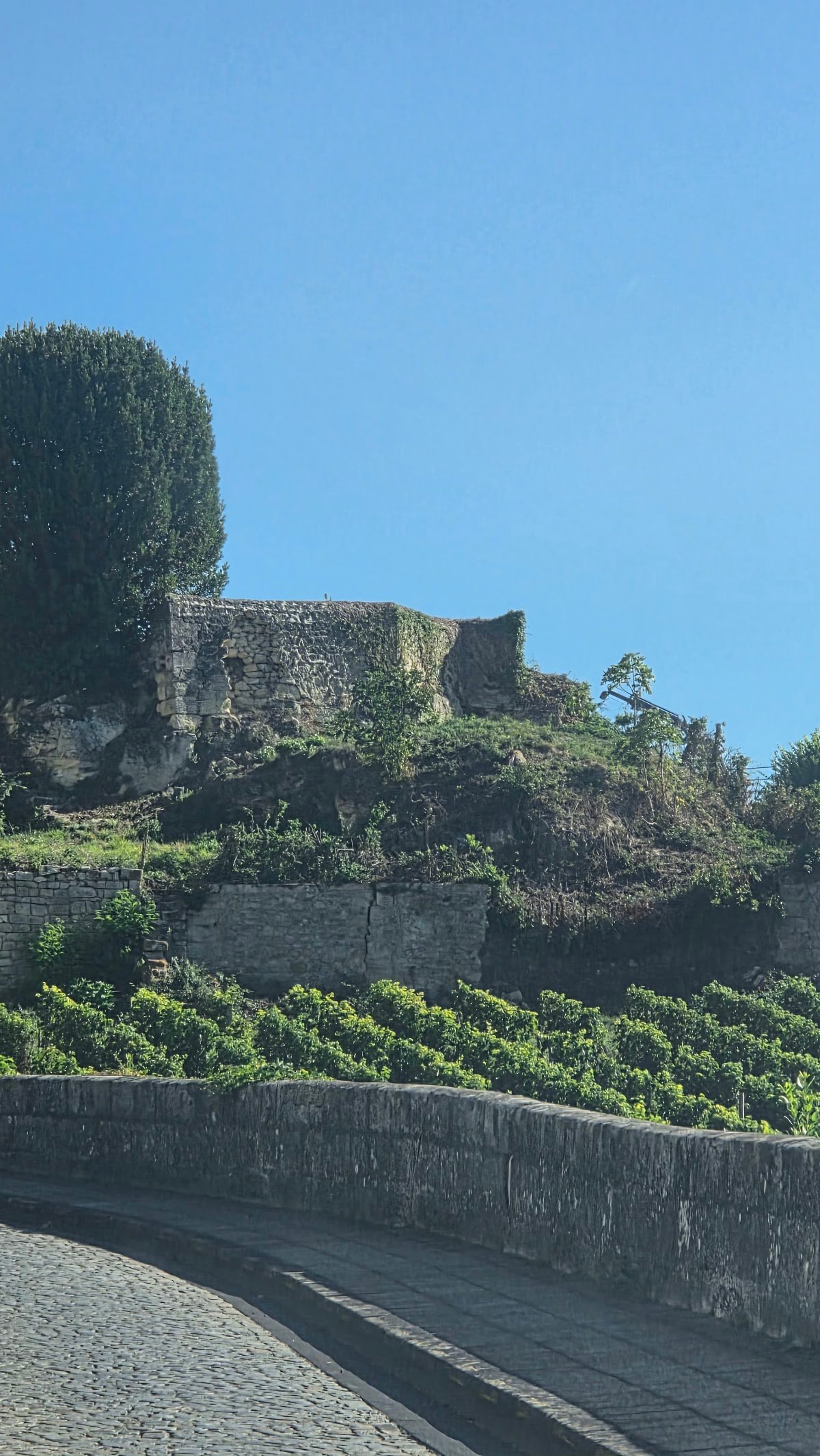 Château au milieu des vignes près de Saint-Émilion, destination d'un transfert VTC depuis l'aéroport de Bordeaux